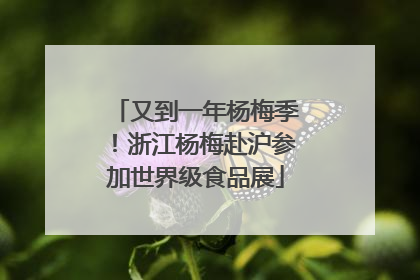 又到一年杨梅季！浙江杨梅赴沪参加世界级食品展