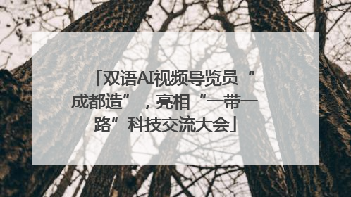 双语AI视频导览员“成都造”，亮相“一带一路”科技交流大会