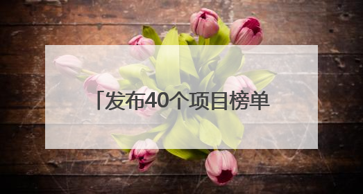 发布40个项目榜单，启动50亿元引导基金！“双向揭榜挂帅”行动成果丰硕