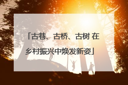 古巷、古桥、古树 在乡村振兴中焕发新姿