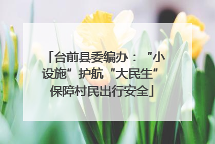 台前县委编办：“小设施”护航“大民生” 保障村民出行安全