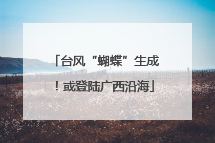 台风“蝴蝶”生成！或登陆广西沿海