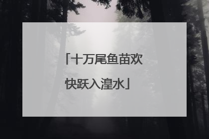 十万尾鱼苗欢快跃入湟水