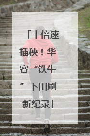 十倍速插秧！华容“铁牛”下田刷新纪录