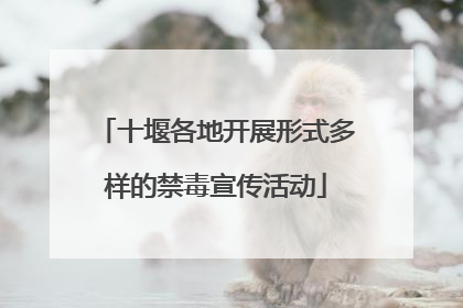 十堰各地开展形式多样的禁毒宣传活动