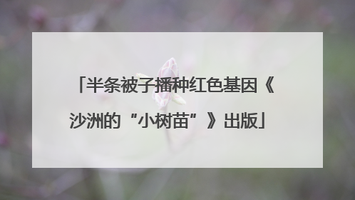 半条被子播种红色基因《沙洲的“小树苗”》出版