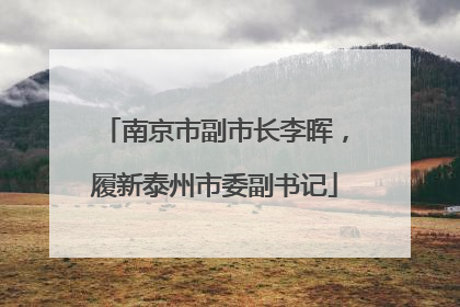 南京市副市长李晖，履新泰州市委副书记