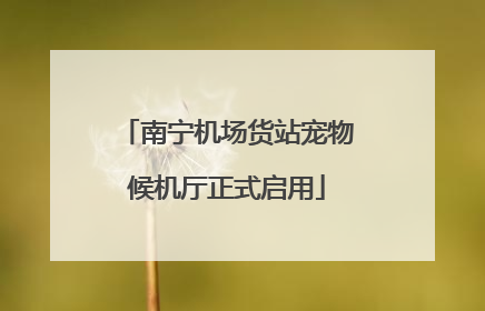 南宁机场货站宠物候机厅正式启用