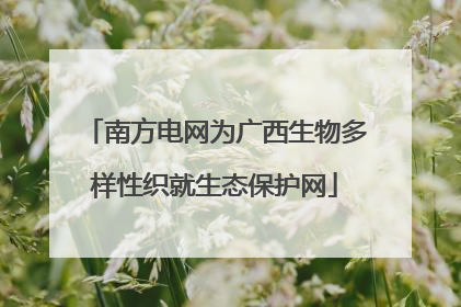 南方电网为广西生物多样性织就生态保护网