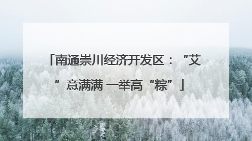 南通崇川经济开发区：“艾”意满满 一举高“粽”