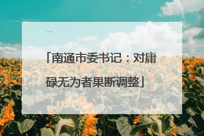 南通市委书记：对庸碌无为者果断调整