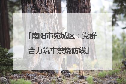 南阳市宛城区:党群合力筑牢禁烧防线