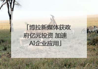 博拉新媒体获政府亿元投资 加速AI企业应用