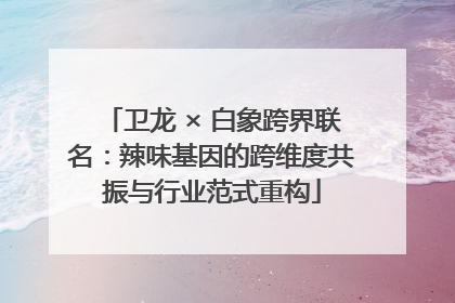 卫龙 × 白象跨界联名：辣味基因的跨维度共振与行业范式重构