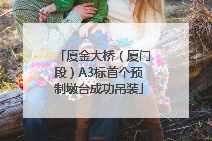 厦金大桥（厦门段）A3标首个预制墩台成功吊装