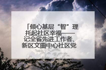 倾心基层“智”理 托起社区幸福——记全省先进工作者、新区文曲中心社区党委书记董世弘