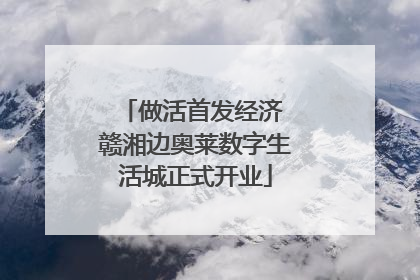 做活首发经济 赣湘边奥莱数字生活城正式开业