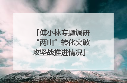 傅小林专题调研“两山”转化突破攻坚战推进情况