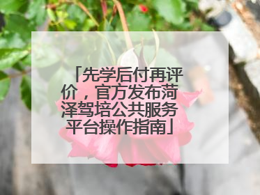 先学后付再评价，官方发布菏泽驾培公共服务平台操作指南
