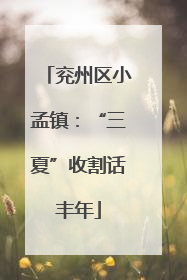兖州区小孟镇：“三夏”收割话丰年