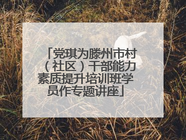 党琪为滕州市村（社区）干部能力素质提升培训班学员作专题讲座