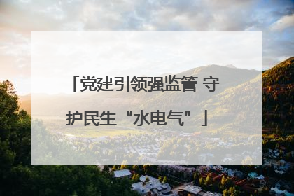 党建引领强监管 守护民生“水电气”