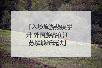 入境旅游热度攀升 外国游客在江苏解锁新玩法