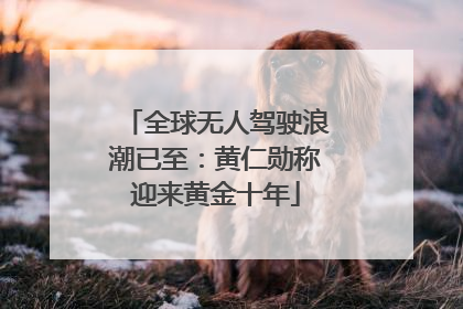 全球无人驾驶浪潮已至：黄仁勋称迎来黄金十年