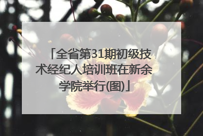 全省第31期初级技术经纪人培训班在新余学院举行(图)