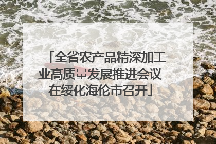全省农产品精深加工业高质量发展推进会议在绥化海伦市召开