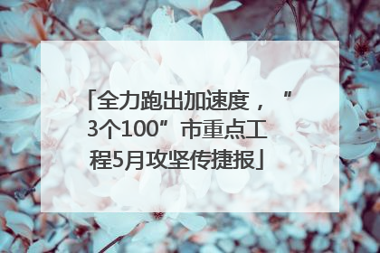 全力跑出加速度，“3个100”市重点工程5月攻坚传捷报