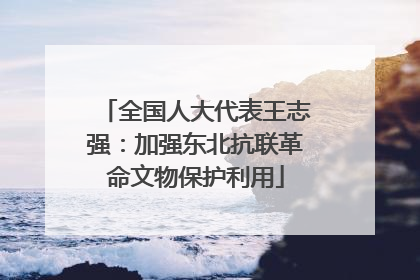 全国人大代表王志强：加强东北抗联革命文物保护利用