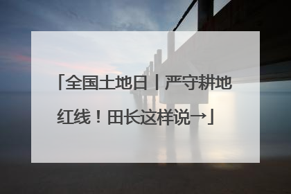全国土地日丨严守耕地红线！田长这样说→