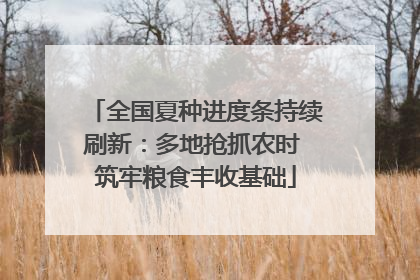 全国夏种进度条持续刷新：多地抢抓农时 筑牢粮食丰收基础