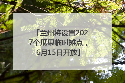 兰州将设置2027个瓜果临时摊点，6月15日开放