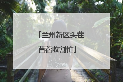 兰州新区头茬苜蓿收割忙
