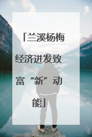 兰溪杨梅经济迸发致富“新”动能