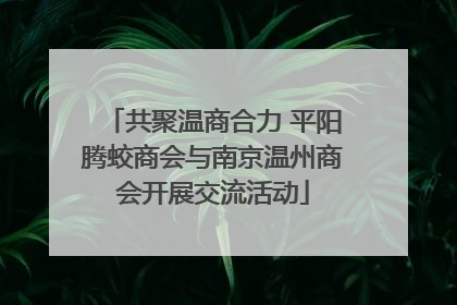 共聚温商合力 平阳腾蛟商会与南京温州商会开展交流活动