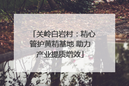 关岭白岩村：精心管护黄精基地 助力产业提质增效