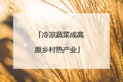 冷凉蔬菜成高原乡村热产业