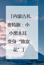 内蒙古扎赉特旗：小小黑木耳 变身“致富花”