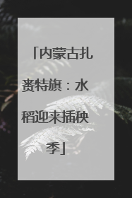 内蒙古扎赉特旗：水稻迎来插秧季