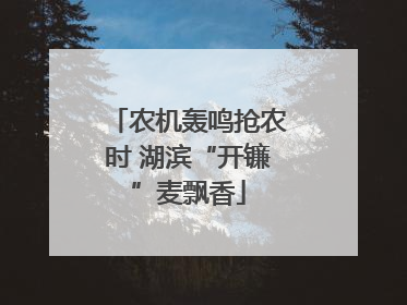 农机轰鸣抢农时 湖滨“开镰”麦飘香