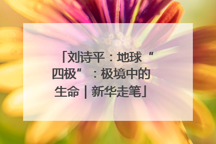 刘诗平：地球“四极”：极境中的生命｜新华走笔