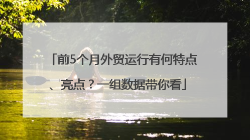前5个月外贸运行有何特点、亮点？一组数据带你看