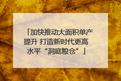 加快推动大面积单产提升 打造新时代更高水平“洞庭粮仓”
