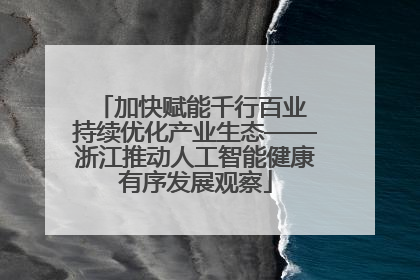加快赋能千行百业 持续优化产业生态——浙江推动人工智能健康有序发展观察