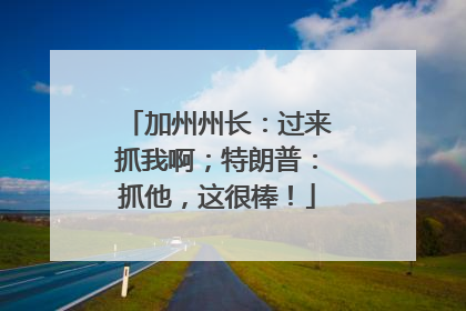 加州州长：过来抓我啊；特朗普：抓他，这很棒！