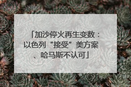 加沙停火再生变数：以色列“接受”美方案、哈马斯不认可