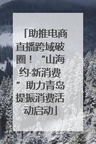 助推电商直播跨域破圈！“山海约·新消费”助力青岛提振消费活动启动